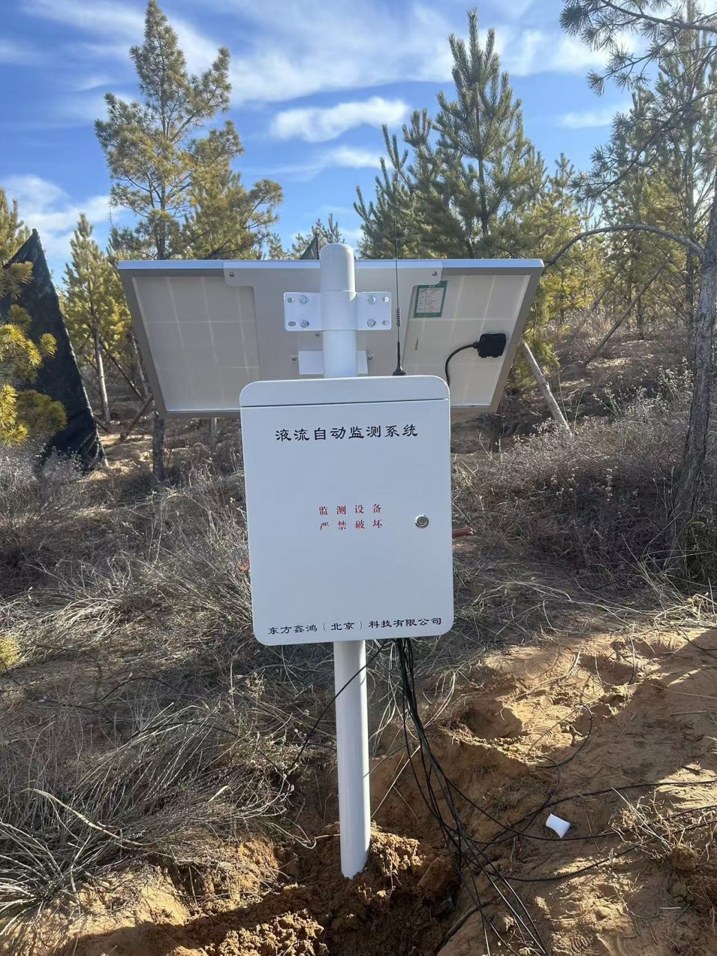 內(nèi)蒙古樟子松液流監(jiān)測系統(tǒng)安裝驗收！